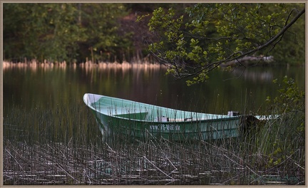 Grøn båd