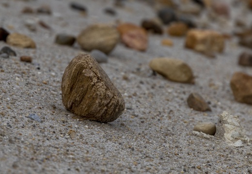 Sten på sand