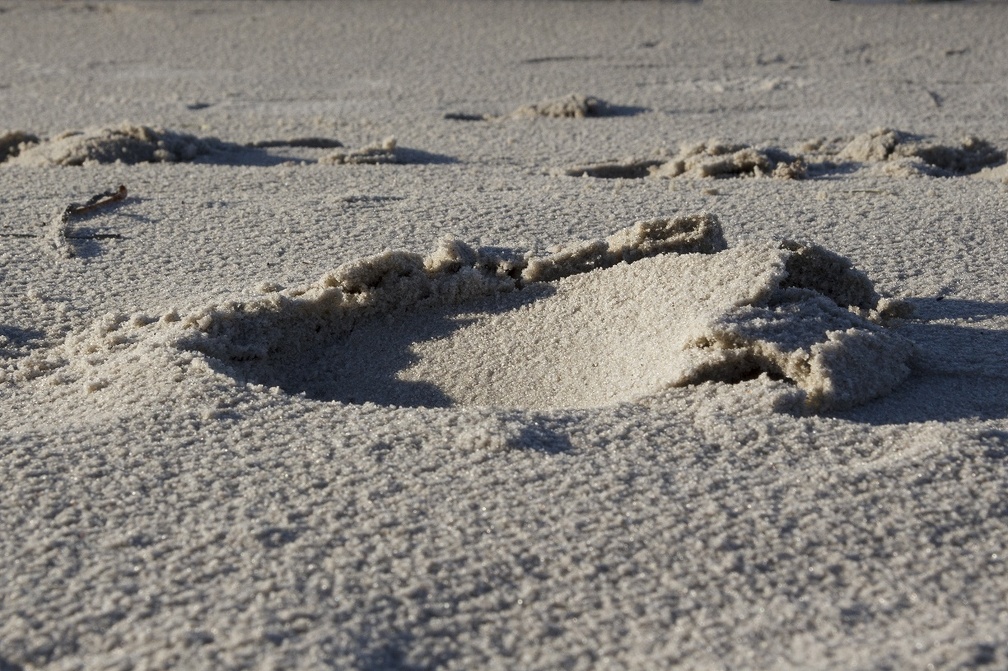 Spor i sand