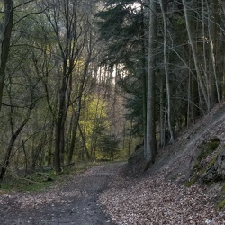 Jeksen