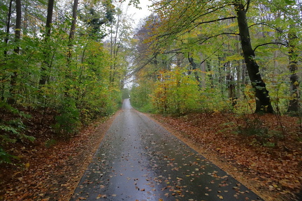 Lars Calundan001588-topaz-sharpen