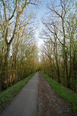 Lars Calundan002005-topaz-denoise-sharpen