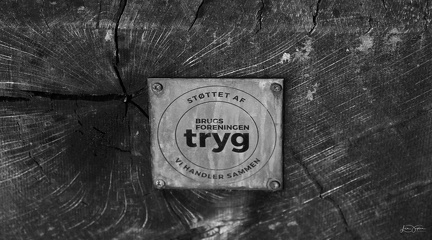 Fotoaften April 2024 2