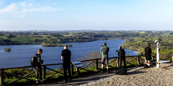 Fotoklub på arbejde web