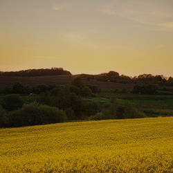 Den gyldne time, maj 24