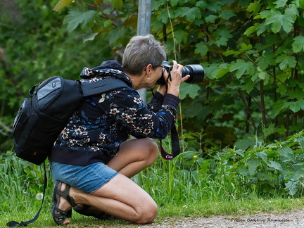 2024-05-15 PBR 90-SharpenAI-Softness