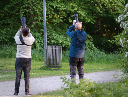 2024-05-15 PBR 100-SharpenAI-Softness