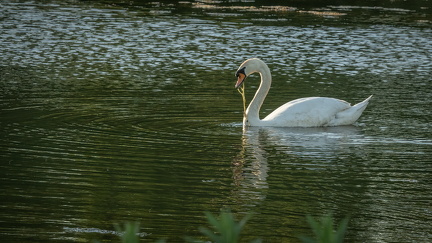 2024-05-15 DSC 9658-Edit