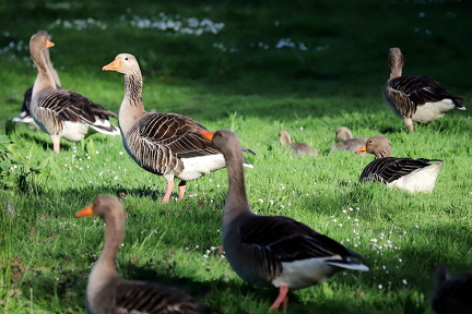 Lars Calundan003295-topaz-sharpen