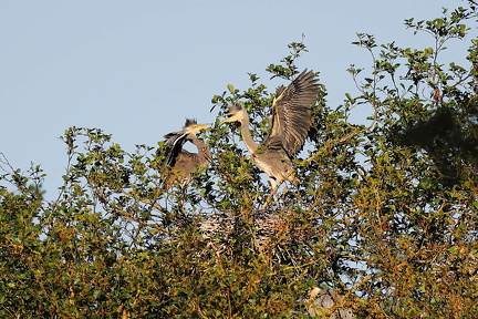 Lars Calundan003297-topaz-enhance-2.4x