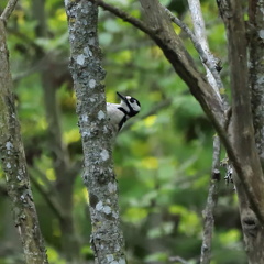 Lars Calundan003301-topaz-denoise-enhance-2.2x-sharpen