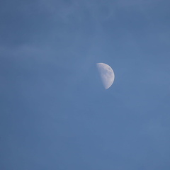 Lars Calundan003300-topaz-sharpen