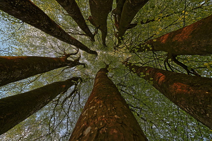 Lars Calundan003304-topaz-sharpen