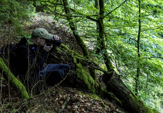 Skovfotograf