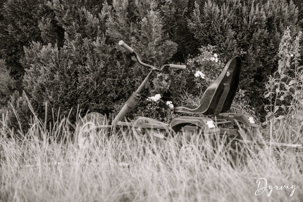 DF72052F-1872-49F1-8F06-E30EA9C74B57