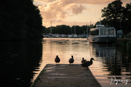 832DA724-6685-4BD8-8BEF-E0CFAB2E8B8E