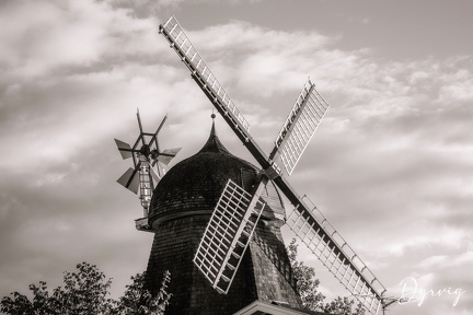 0906619E-DB08-4B25-9263-A300EDF646BE