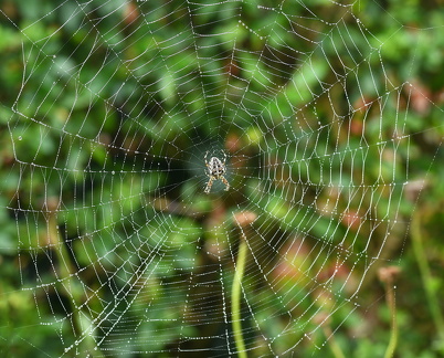 2024 09 23 2442 copy F