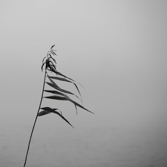 Lars Calundan004005-topaz-sharpen