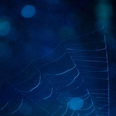 minimalistisk (1 of 1)