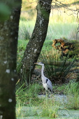 Lars Calundan004016-topaz-sharpen