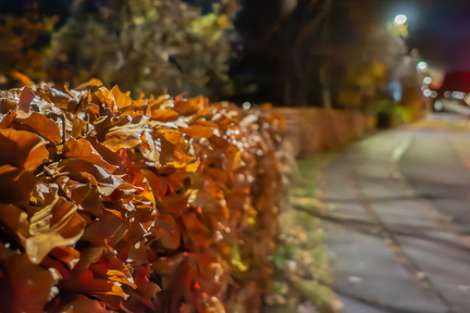 Efteråret bugter sig i RY  Ole O