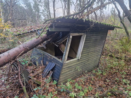 GetAttachmentThumbnail-topaz-upscale-2.1x