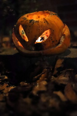 Lars Calundan004068-topaz-denoise-sharpen