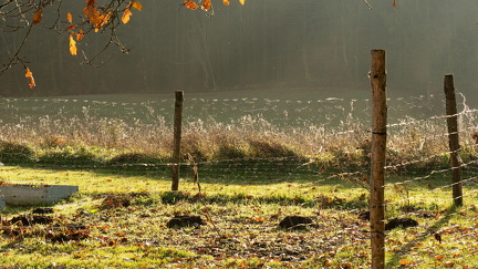 2024-11-12 DSC 0464-Edit