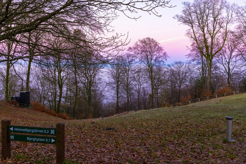 2025_01_19 - 1455 (AU)  Himmelbjerget over tåge (AU)fb.jpg