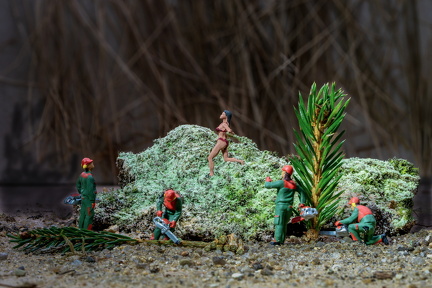 Den dag Linda løb igennem Anlægsgartneres motorsavs kursus, blev aldrig glemt????