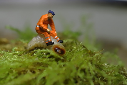 Lars Calundan004086-topaz-sharpen