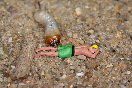 Lars Calundan004088-topaz-sharpen-remove