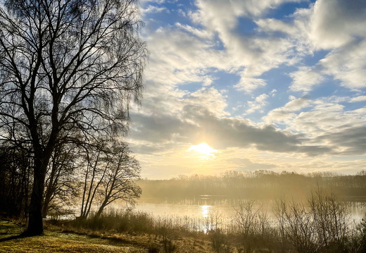 Mit bedste foto denne måned 2024