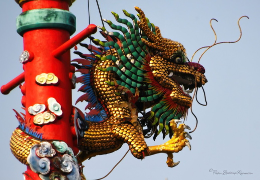Dragehoved, Chantaburi