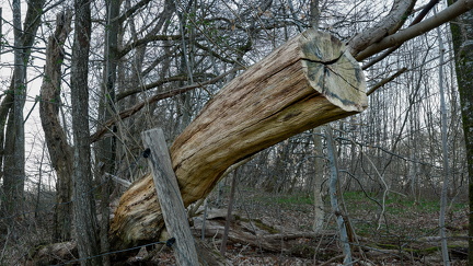 Ved Den Genfundne Bro. Photo Stacking