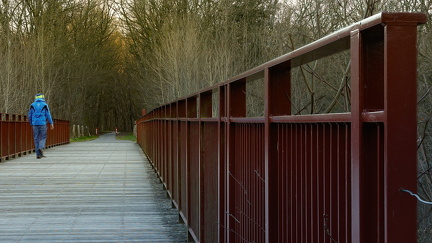 Photo Stacking. 15-25 billeder