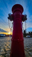 Brandhane i frøperspektiv