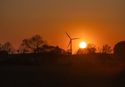 Solnedgang syd for Jelling