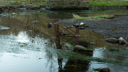 2025-04-02 DSC 0689-Edit