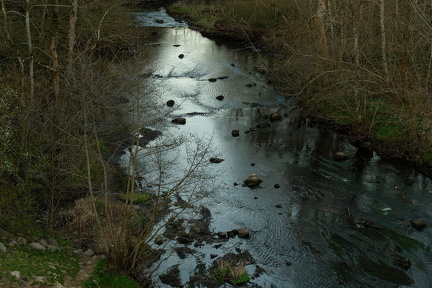 2025-04-02 DSC 0696-Edit