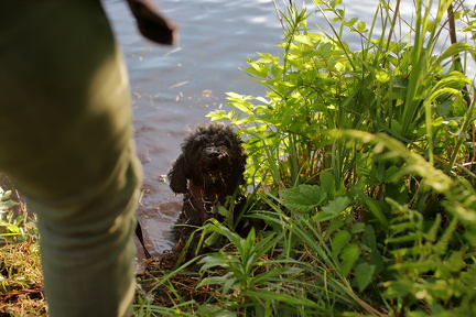 Lars Calundan004329-topaz-sharpen