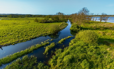 Gudenåens udløb i Mossø