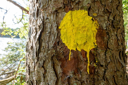 Slåen sø-2