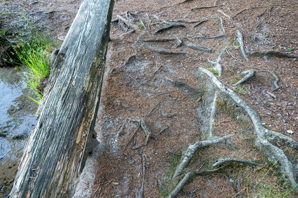 Slåen sø-3