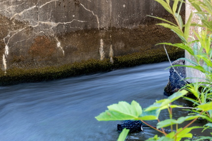 LangtidsExpo. af flow. F/32. 1Sec