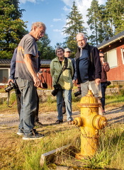 Amerikansk brandhane