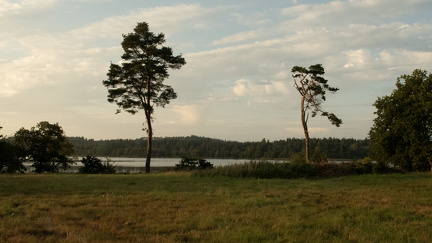 2025-08-27 DSC 1255-Edit