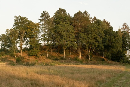 2025-08-27 DSC 1277-Edit