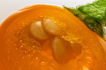 Aji Charapita Ole O 2